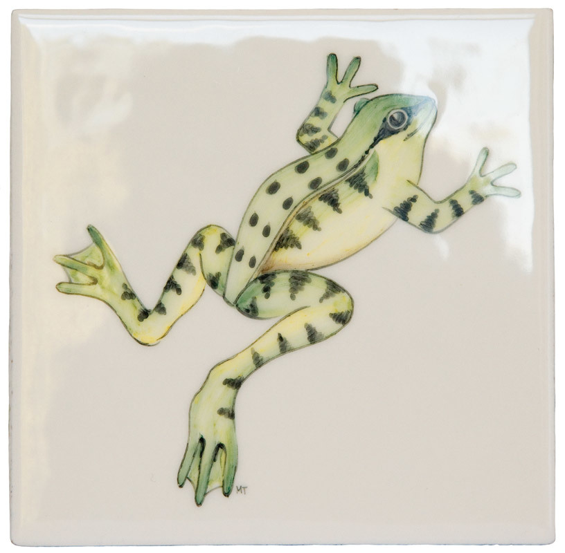 Frog 2 Square, product variant image