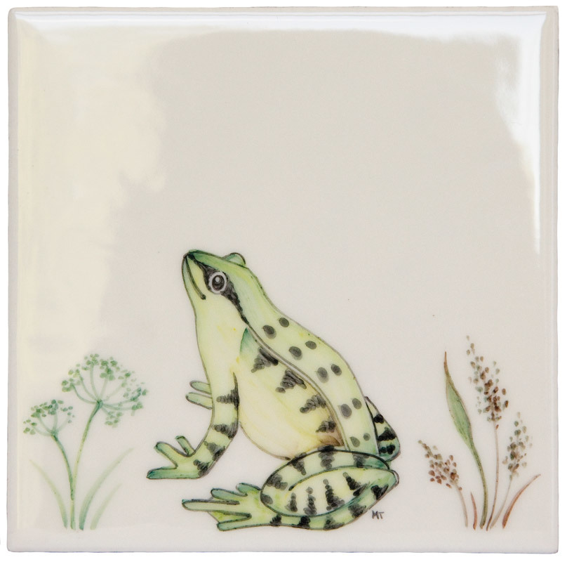 Frog 4 Square, product variant image