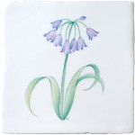 Spring Flowers Agapanthus on China Clay