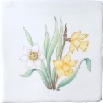 Spring Flowers Daffodil on China Clay