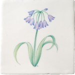 Cut out of hand painted Agapanthus flower square tile with an ivory background