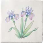 Cut out of hand painted iris flower square tile with an ivory background