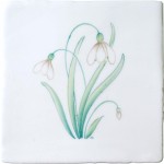 Spring Flowers Snowdrop on China Clay