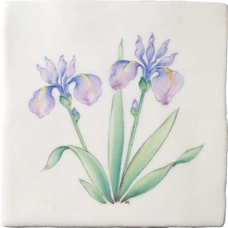 Cut out of hand painted iris flower square tile with an ivory background