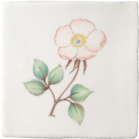 Cut out of hand painted wild rose flower square tile with an ivory background