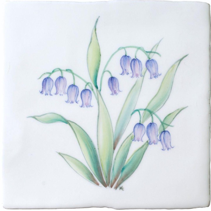 Spring Flowers Bluebell on China Clay
