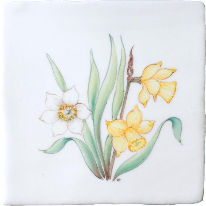 Spring Flowers Daffodil on China Clay