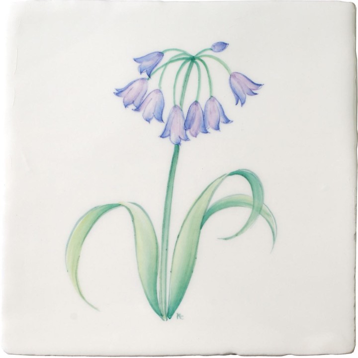 Cut out of hand painted Agapanthus flower square tile with an ivory background
