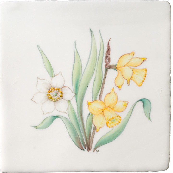 Cut out of hand painted daffodil flower square tile with an ivory background