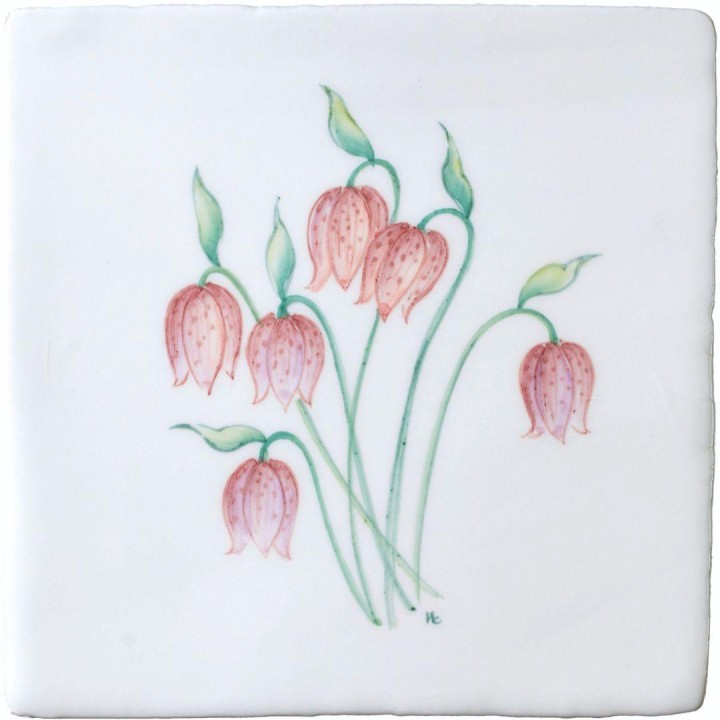 Spring Flowers Fritillary on China Clay
