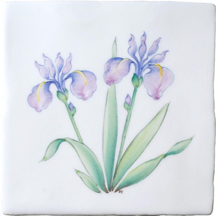Spring Flowers Iris on China Clay