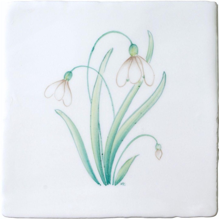 Spring Flowers Snowdrop on China Clay