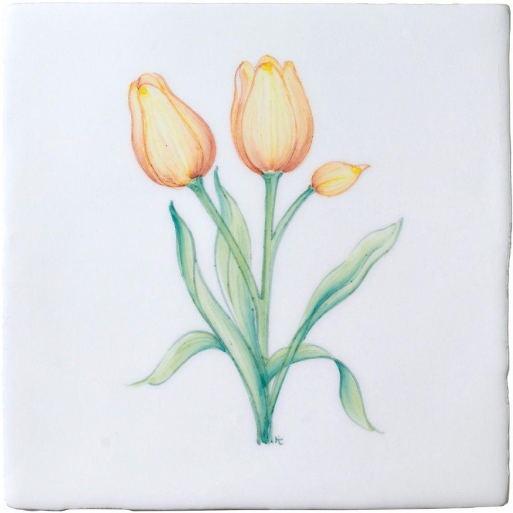Spring Flowers Tulip on China Clay