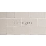 Cut out of two word metro tiles with the word 'Tarragon' hand painted on them
