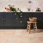 Kitchen with black cabinets featuring a wall of delft wilding tiles with hand painted animal illustrations and limestone floor