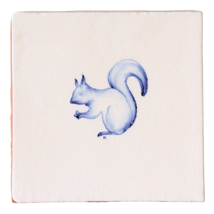 Wilding square redquirrel AW cutout