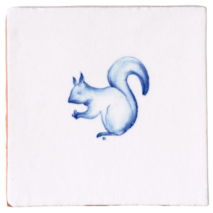 Wilding square redsquirrel CW cutout