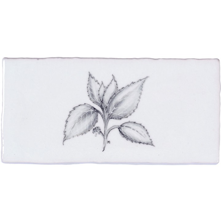 Cut out of a metro tile with a mint leaf illustration in a charcoal style