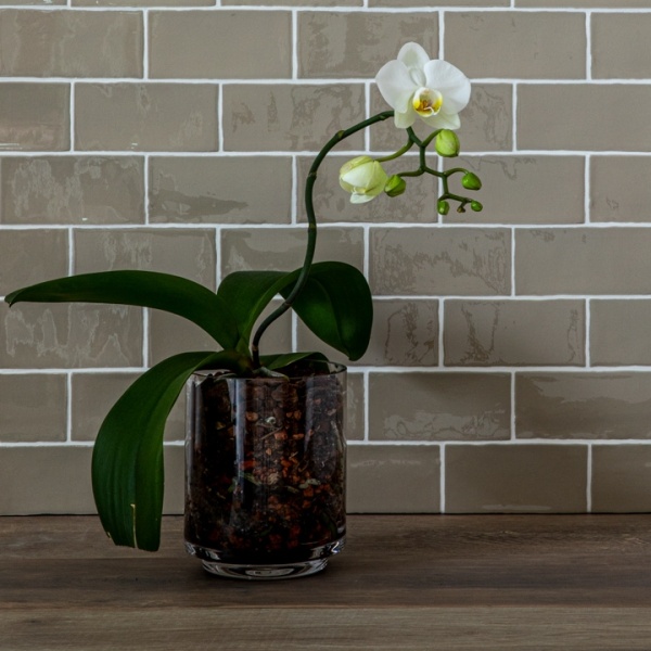 CC Aged Linen Green Brick White Grout styled board Low